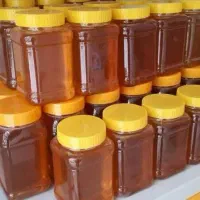 عسل چهل‌گیاه ۳۵۰تومان عمده و جزئی، ارسال رایگان