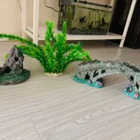 دکوری صخره و پل و گیاه اکواریوم و ماهی