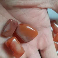 خیلی قدیمی|کلکسیون اشیاء عتیقه|زنجان, |دیوار