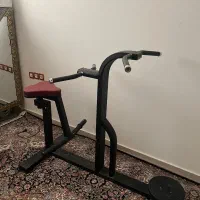 چرخونک لاغری