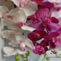 گل مصنوعی|گل مصنوعی|تهران, ستارخان|دیوار