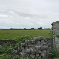 زمین-220-متری-سنددار-قابل-ساخت-با-ویو-عالی