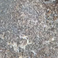 کود.کودگاو.کودگاوی.کودمرغ.کودمرغی