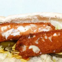 فر کار ساندویچی