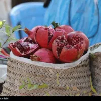 انار زیرتنگ سیاب