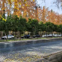 230متر-3خواب-سالن-بزرگ-laquo-ارم-raquo