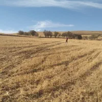 زمین زراعی|فروش دفتر صنعتی، کشاورزی، تجاری|ایجرود, |دیوار