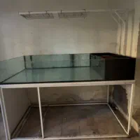 اکواریوم سالنی