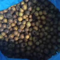 کندس