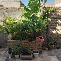 خانه فروشی|فروش خانه و ویلا|کیار, |دیوار