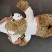 خرس خوابالو