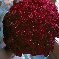 رز ربانی|گل مصنوعی|یزد, |دیوار