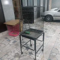 قفس