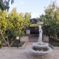 فروش-یا-معاوضه-باغ-بادامک