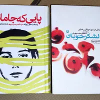 پایی که جاماند ،لشکر خوبان ، دیوان حافظ