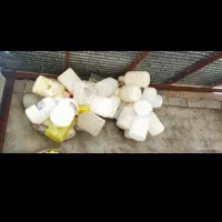 لوازم منزل|سایر لوازم برقی|تایباد, |دیوار