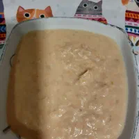 غذای خانگی گربه|لوازم جانبی حیوانات|تهران, سازمان برنامه جنوبی|دیوار