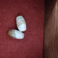 دوعدد مهره|کلکسیون اشیاء عتیقه|یاسوج, |دیوار