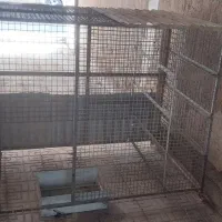 قفس|لوازم جانبی حیوانات|آباده, |دیوار