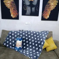 پتو مسافرتی|رختخواب، بالش، پتو|اراک, |دیوار