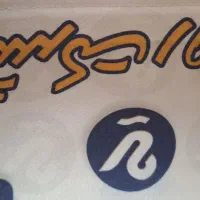 تشک تخت سالم.|تشک تختخواب|لنگرود, |دیوار