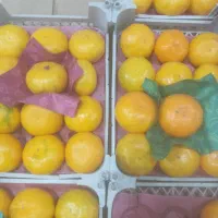 نارنگی|خوردنی و آشامیدنی|قیدار, |دیوار