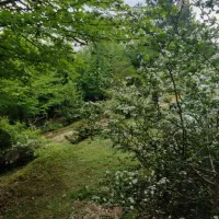 خانه-ویلایی-شمال