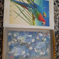 پازل ۵۰۰ تیکه کلمنتونی