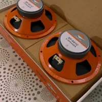 یک جفت میدرنج ۶