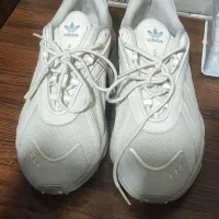 کتونی آدیداس سایز 43