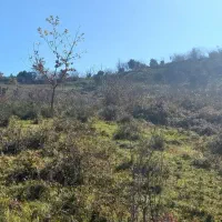 350متر-زمین-اطاقور