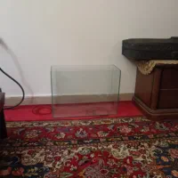 اکواریوم
