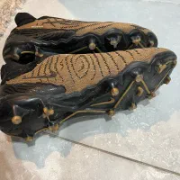 کتونی چمن (فانتوم)