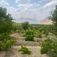 فروش باغ ۲۰۰۰ متری با ویو تالاب چغاخور|فروش زمین و ملک کلنگی|بلداجی, |دیوار