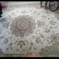 فرش 12متره|فرش|مشهد, نظام دوست|دیوار