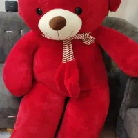 خرس کاملا نو