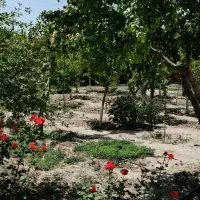 باغ ویلا مجتمعی دارای نگهبان در پایین ده|فروش خانه و ویلا|مشهد, میان ولایت|دیوار