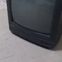 تلوزیون
