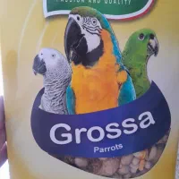 غذایه طوطی سانان