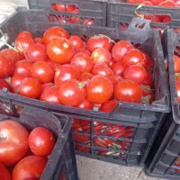 سلام گوجه فرنگی مخصوص رب