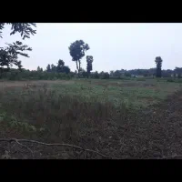 زمین در روستای سنگستان