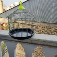 2عدد قفس پرنده|لوازم جانبی حیوانات|صومعه‌سرا, |دیوار