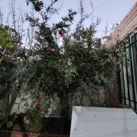 ویلا نوساز 120 متری جمال آباد پاکدشت|فروش خانه و ویلا|شریف‌آباد, |دیوار