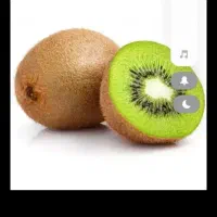 کیوی داخل سردخانه