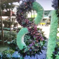 گل تاج گل مراسم دسته گل توضیحات