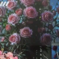 نصاب تلویزیون