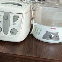 سرخ کن و بخارپز