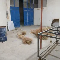 اجاره مغازه