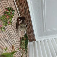 چراغ دیواری|لوستر و چراغ آویز|قم, پردیسان|دیوار