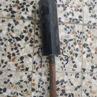 اگزو زنبوری